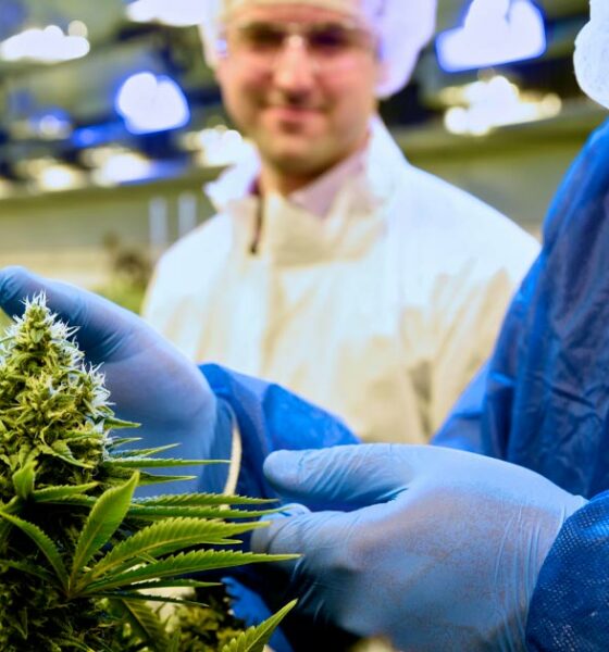 Tilray levert medische cannabis aan Italië