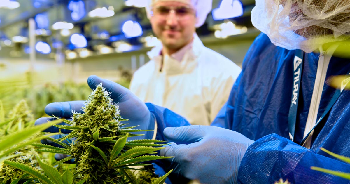 Tilray levert medische cannabis aan Italië