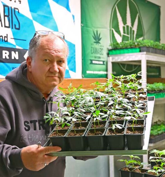 Blokkering van cannabisclubs in Beieren