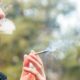 Vrouwen, cannabis en vruchtbaarheid