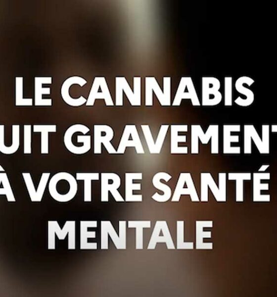 MILDECA campagne over cannabis