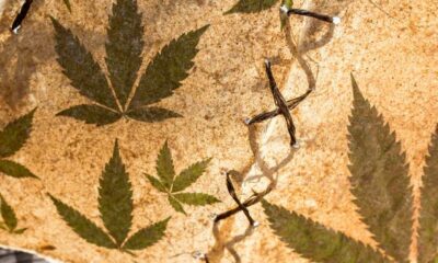 Dieudonné en cannabis