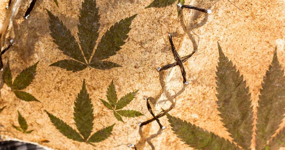 Dieudonné en cannabis