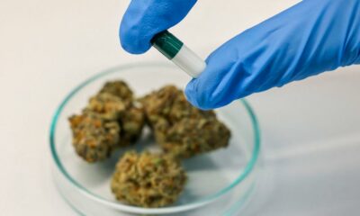 Kanker bij jongeren en cannabis