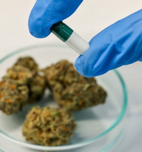Kanker bij jongeren en cannabis