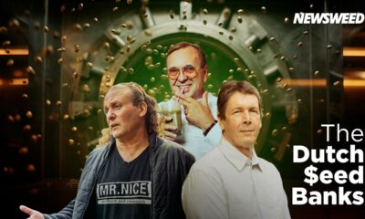 Nederlandse cannabis zaadbanken