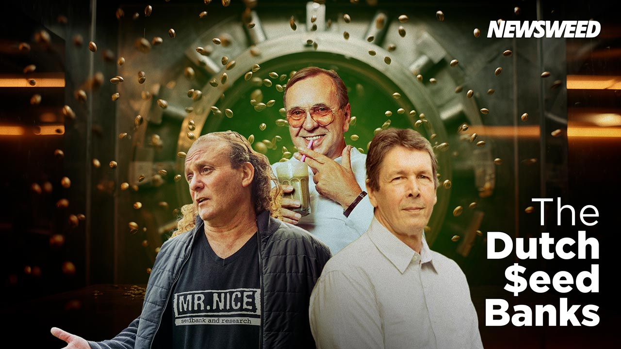 Nederlandse cannabis zaadbanken