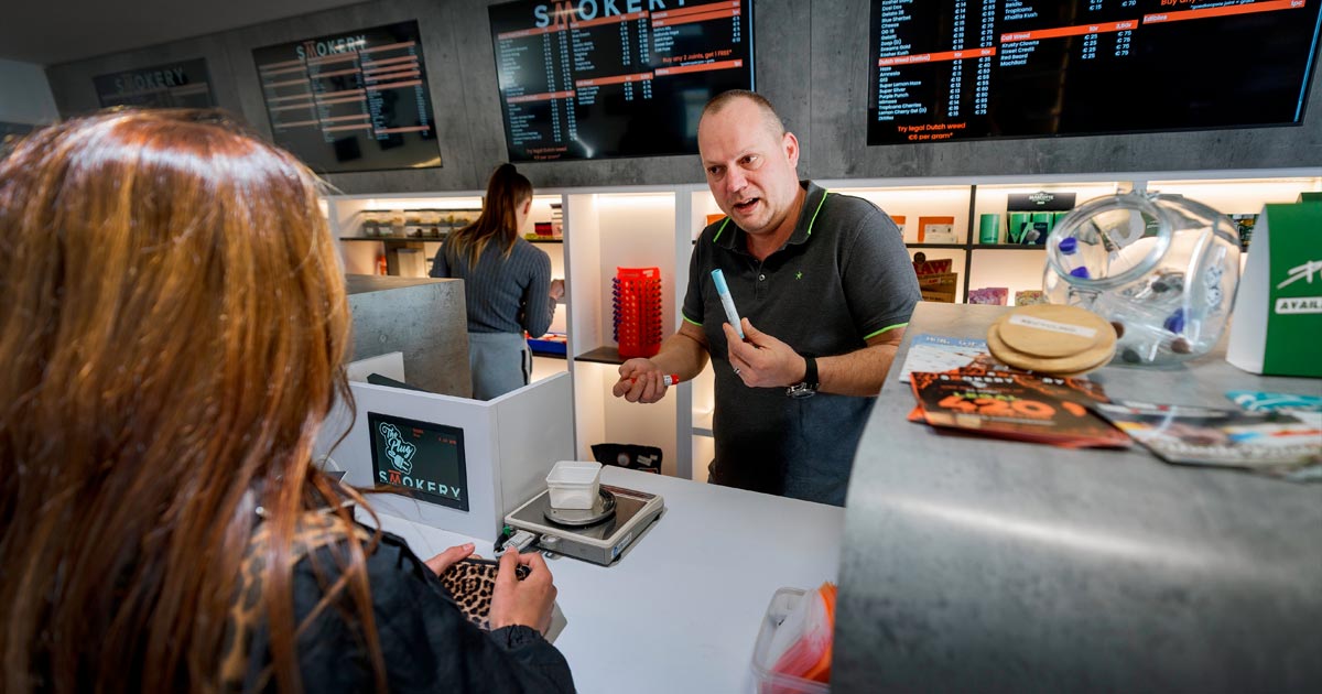 Hasjiesj legaal in Nederland