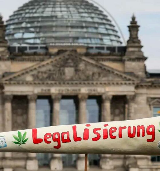 Cannabisgebruik onder jonge Duitsers