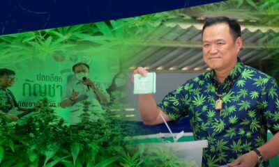 Pro-cannabis premier in Thailand