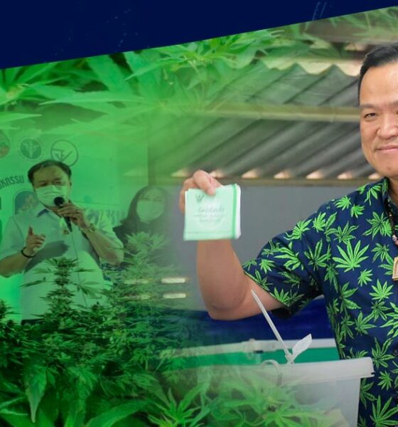 Pro-cannabis premier in Thailand