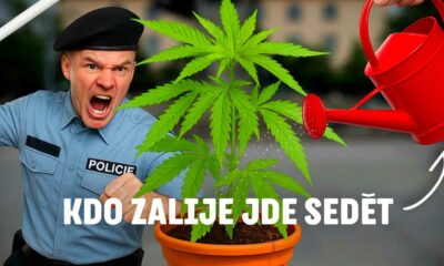 Czexperiment