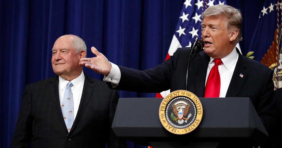 Trump prijst CBD voor senioren