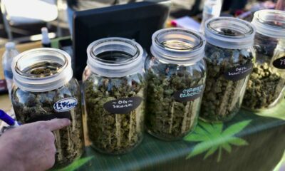 Verkoop van cannabis tijdens festivals in Calgary