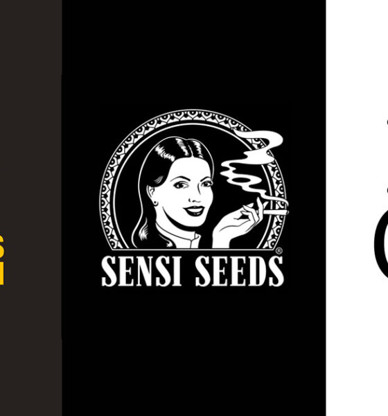 Fusie van Barney's Farm, Sensi Seeds en ILGM