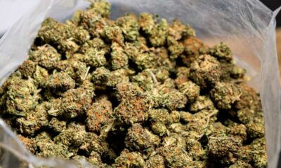 Hennep en CBD in Italië