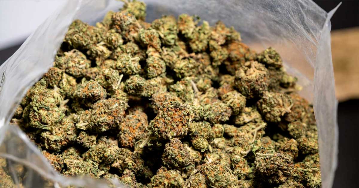 Hennep en CBD in Italië