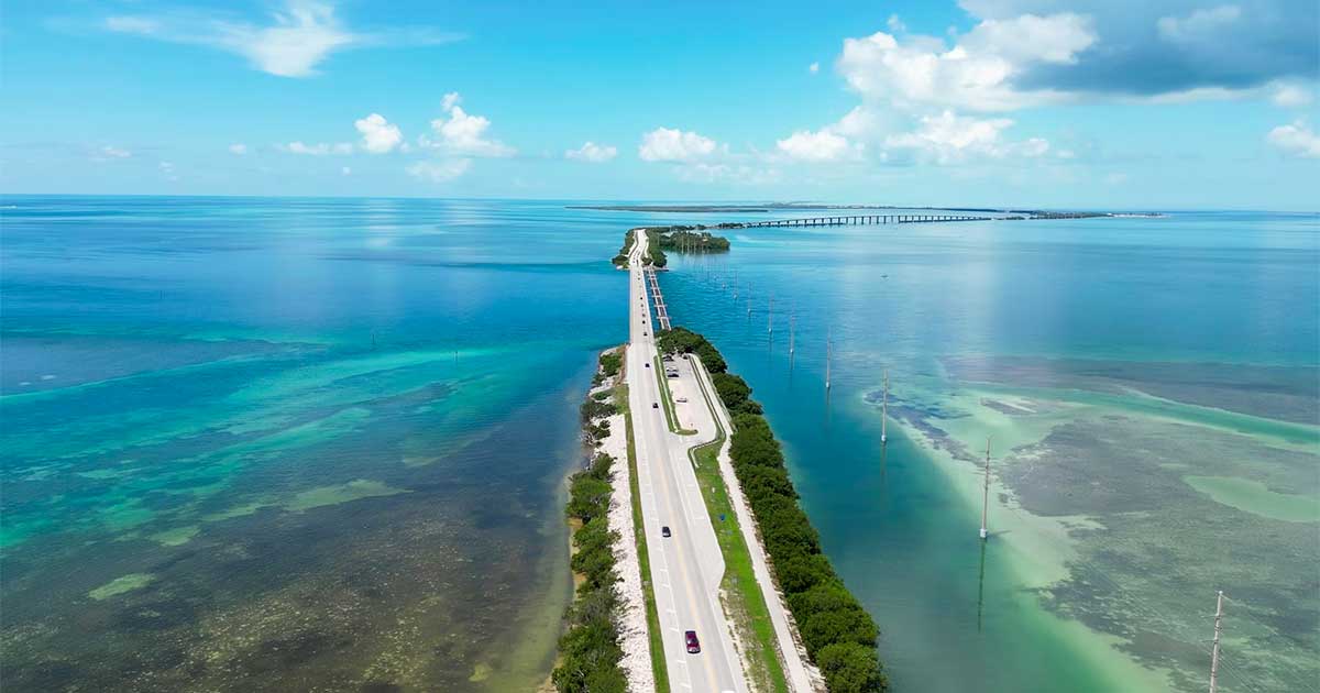 Florida en cannabis voor volwassenen