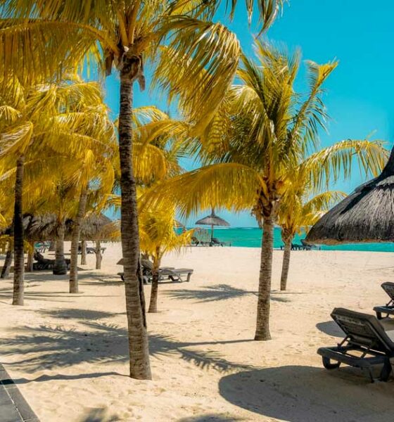 Mauritius overweegt legalisering cannabis