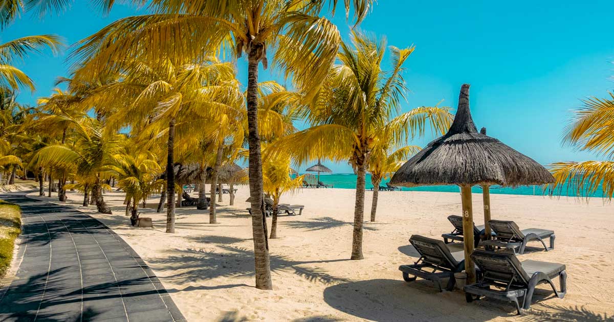 Mauritius overweegt legalisering cannabis