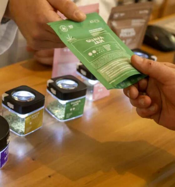 De Zwitserse methode voor het legaliseren van cannabis