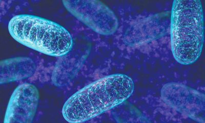 CBD en zijn werking op mitochondriën