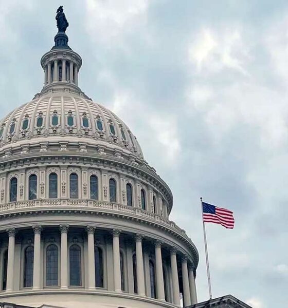 Het Amerikaanse Congres en het verbod op THC-hennep