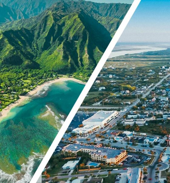 Legalisering van cannabis in Florida en Hawaï