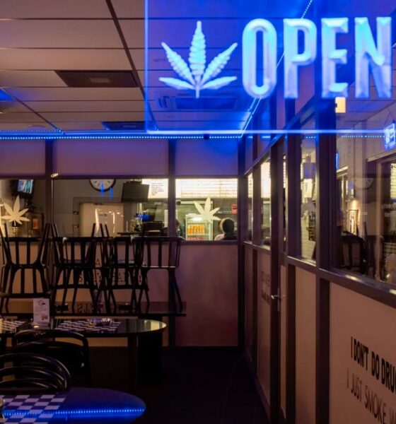 Volledige legalisering van cannabis in Duitsland