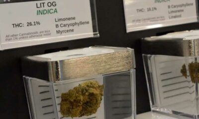 Openbare verkoop van cannabis in Minnesota