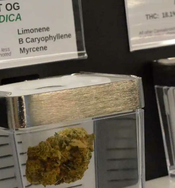 Openbare verkoop van cannabis in Minnesota