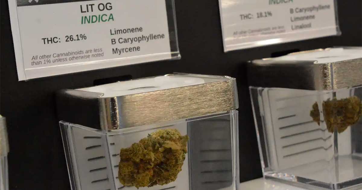 Openbare verkoop van cannabis in Minnesota