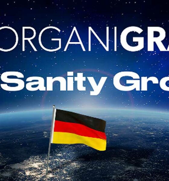 Organigram en geestelijke gezondheid