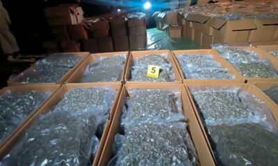 Inbeslagnames van medicinale cannabis in Noord-Macedonië