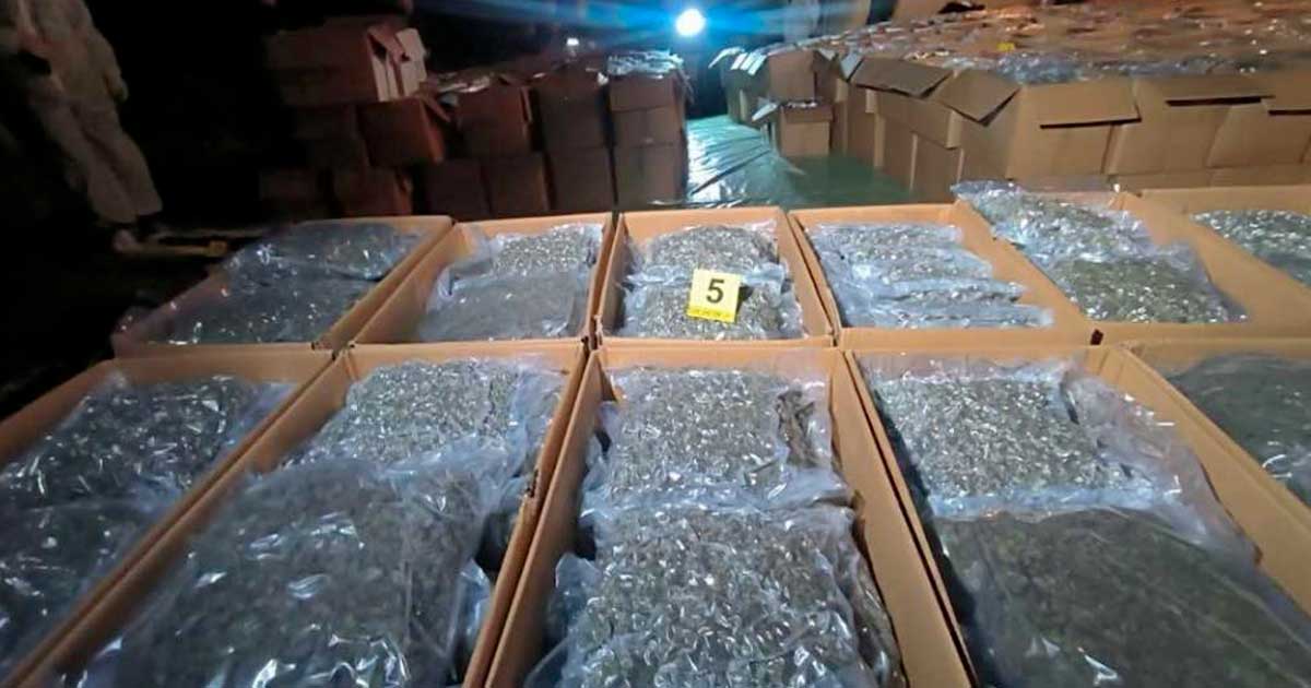 Inbeslagnames van medicinale cannabis in Noord-Macedonië