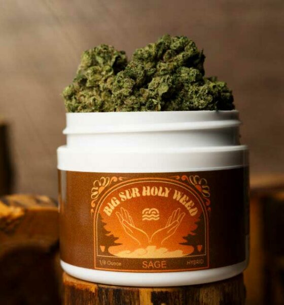 Big Sur heilige wiet