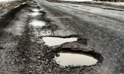 Cannabis voor kuilen