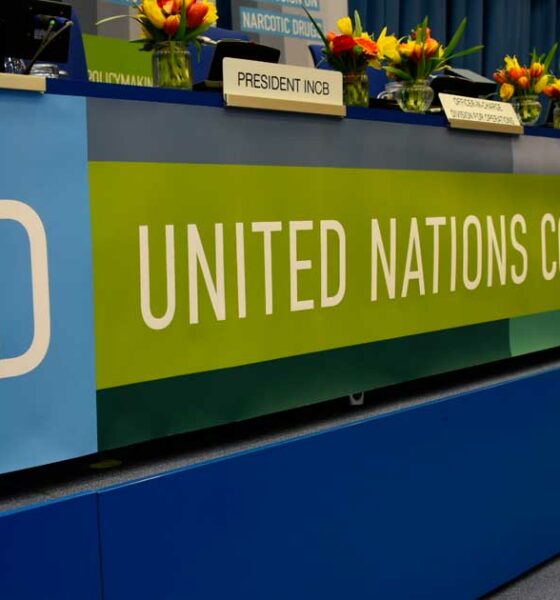 Het CND-panel bij de VN