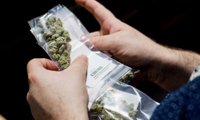 Duitse politie roept op tot legalisering van cannabis