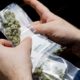 Duitse politie roept op tot legalisering van cannabis
