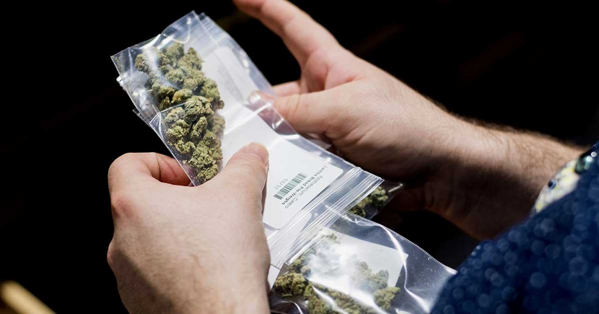 Duitse politie roept op tot legalisering van cannabis