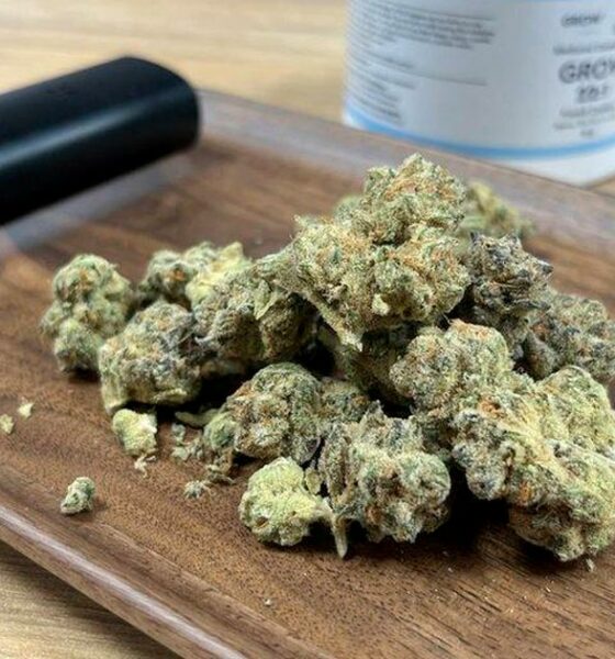 Medicinaal cannabisprogramma mislukt in Ierland