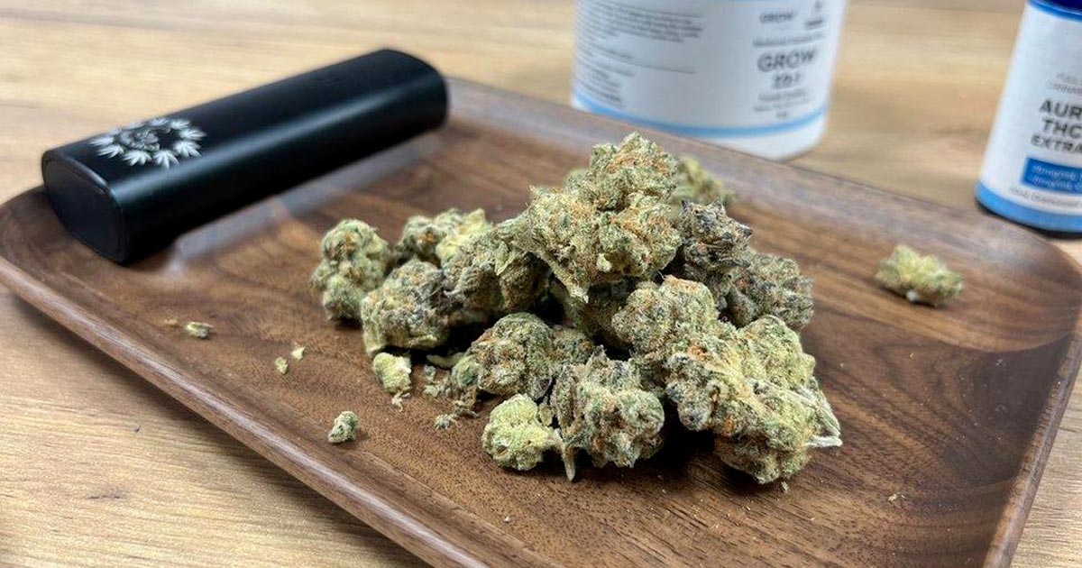 Medicinaal cannabisprogramma mislukt in Ierland