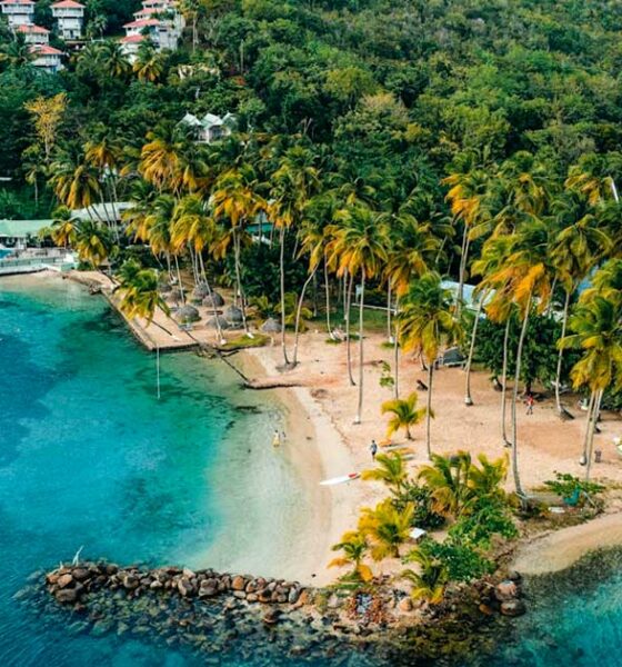 Reflectie op de legalisatie van cannabis in Sint-Maarten