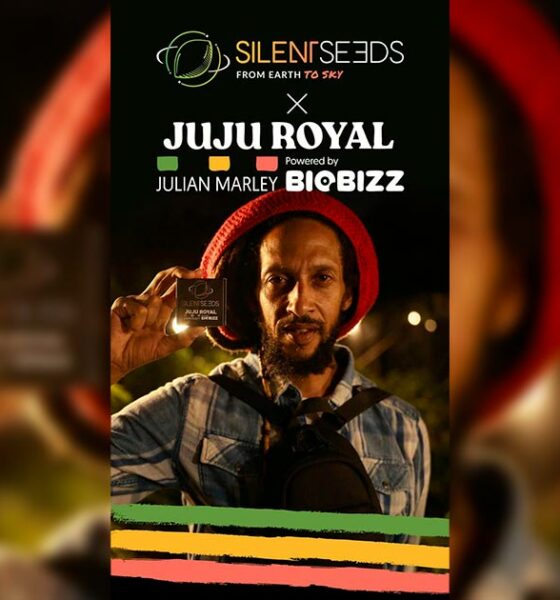 Silent Seeds en Julian Marley-variëteiten