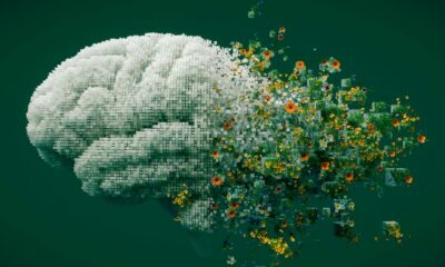 Cannabis en geheugen