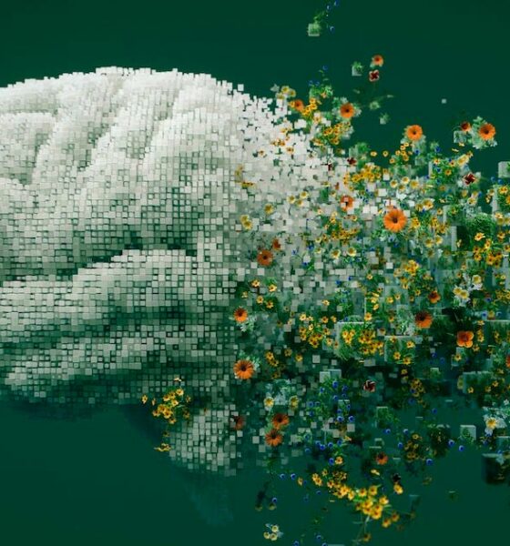 Cannabis en geheugen