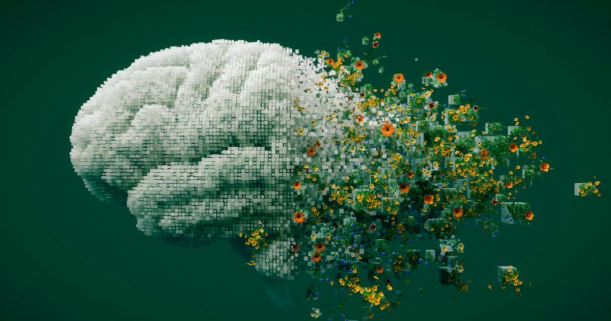 Cannabis en geheugen