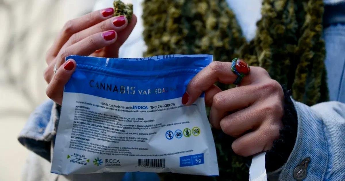 Grijze cannabismarkt in Uruguay