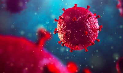 CBD zou HIV-infectie kunnen voorkomen